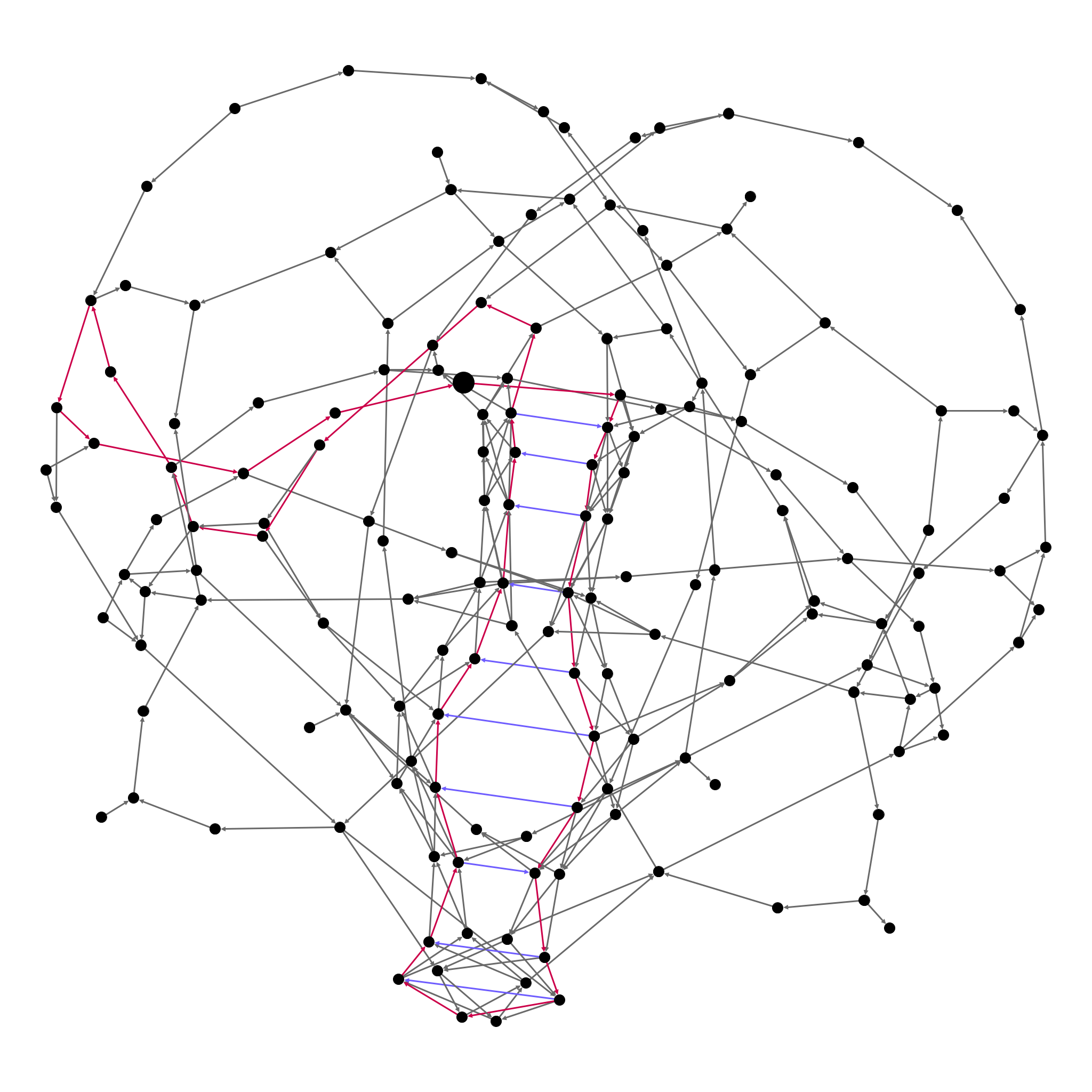 A directed graph representing links between oriented contigs. A red path shows the scaffolding result.